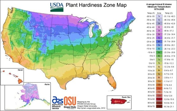 Hardiness Zones USDA